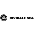 Cividale SpA Group